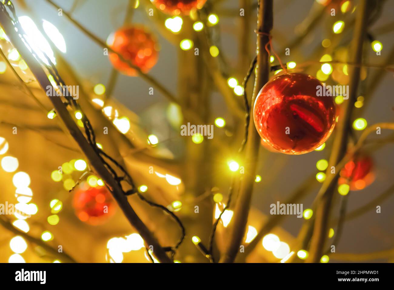 Red balls on tree branch with yellow illumination on street at night