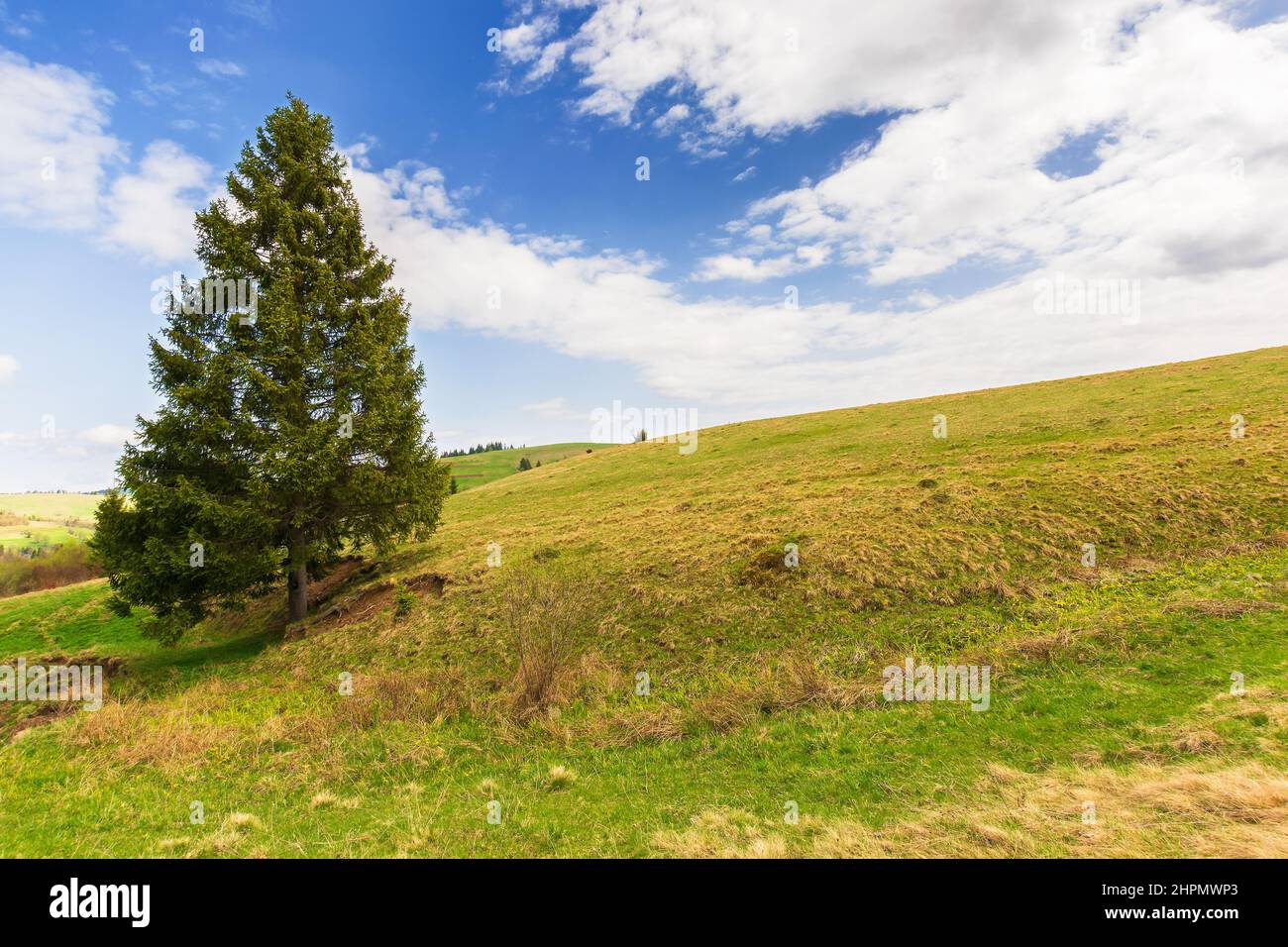 Unleafed Tree Beautiful season tree hi-res stock photography and images - Alamy