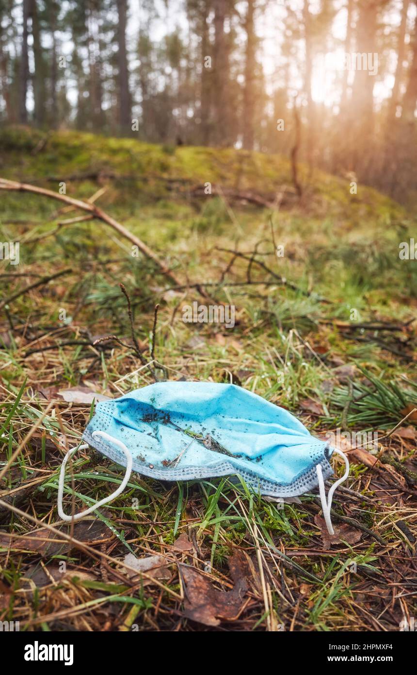 Close up picture of a discarded disposable medical face mask in the forest, selective focus. Stock Photo