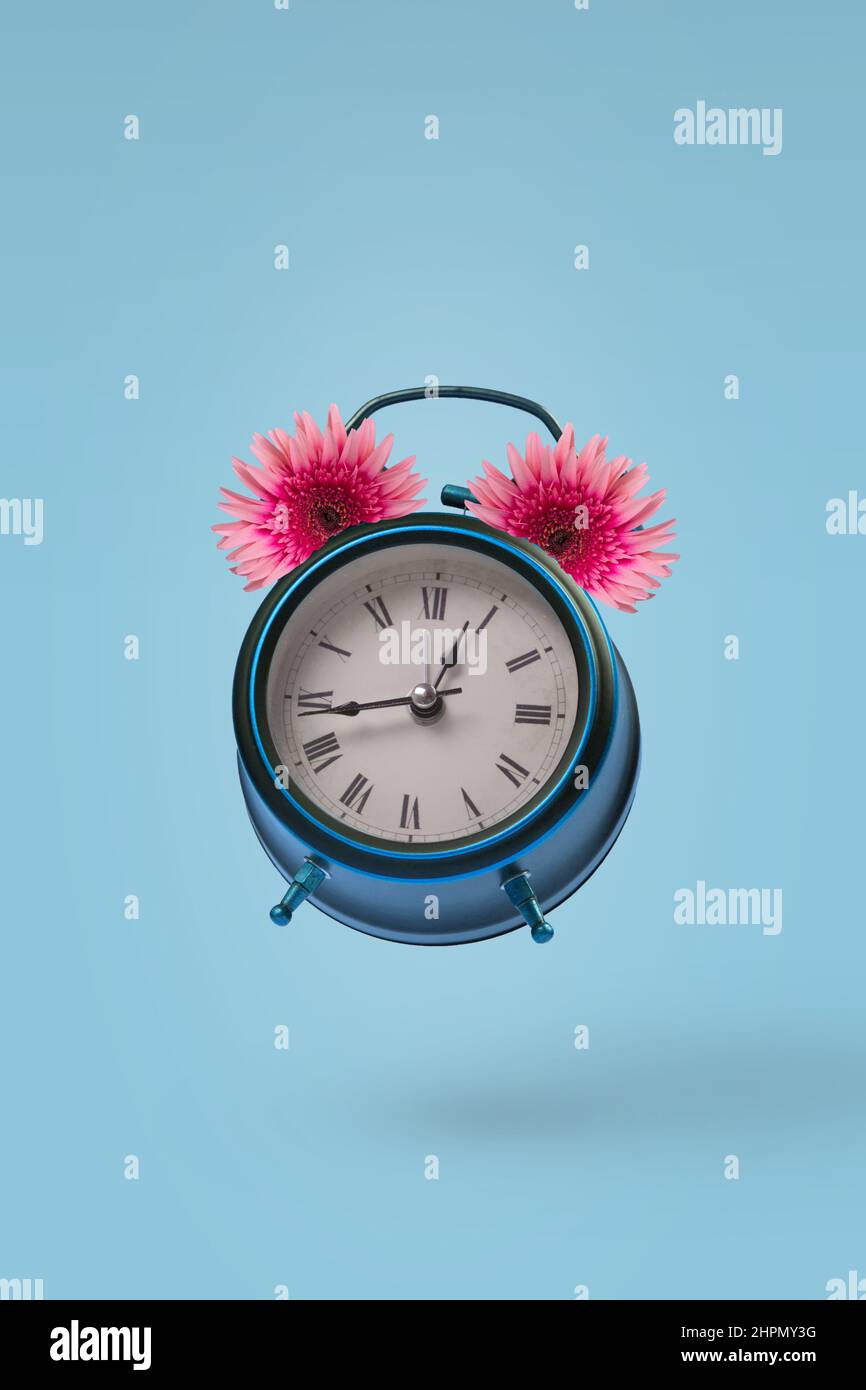 Retro Vintage alarm Clock with fresh, beautiful gerbera flowers flying in the air isolated on pastel blue background. Creative spring or summer time c Stock Photo