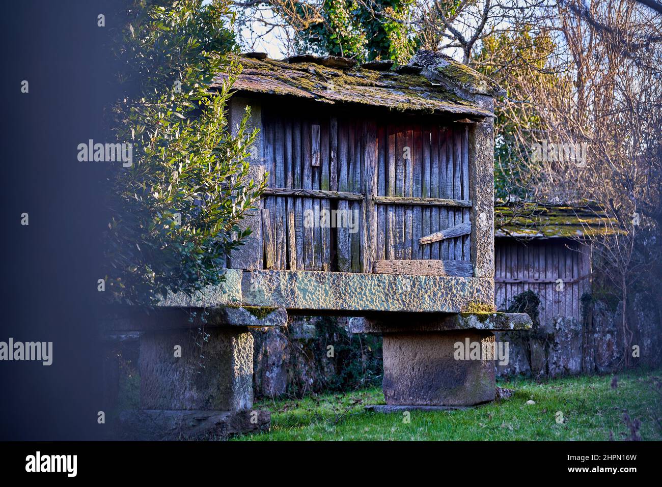 Old stone and wood barn called horreo, used in the Galician region of Irixo to store cereals, apples or chestnuts Stock Photo