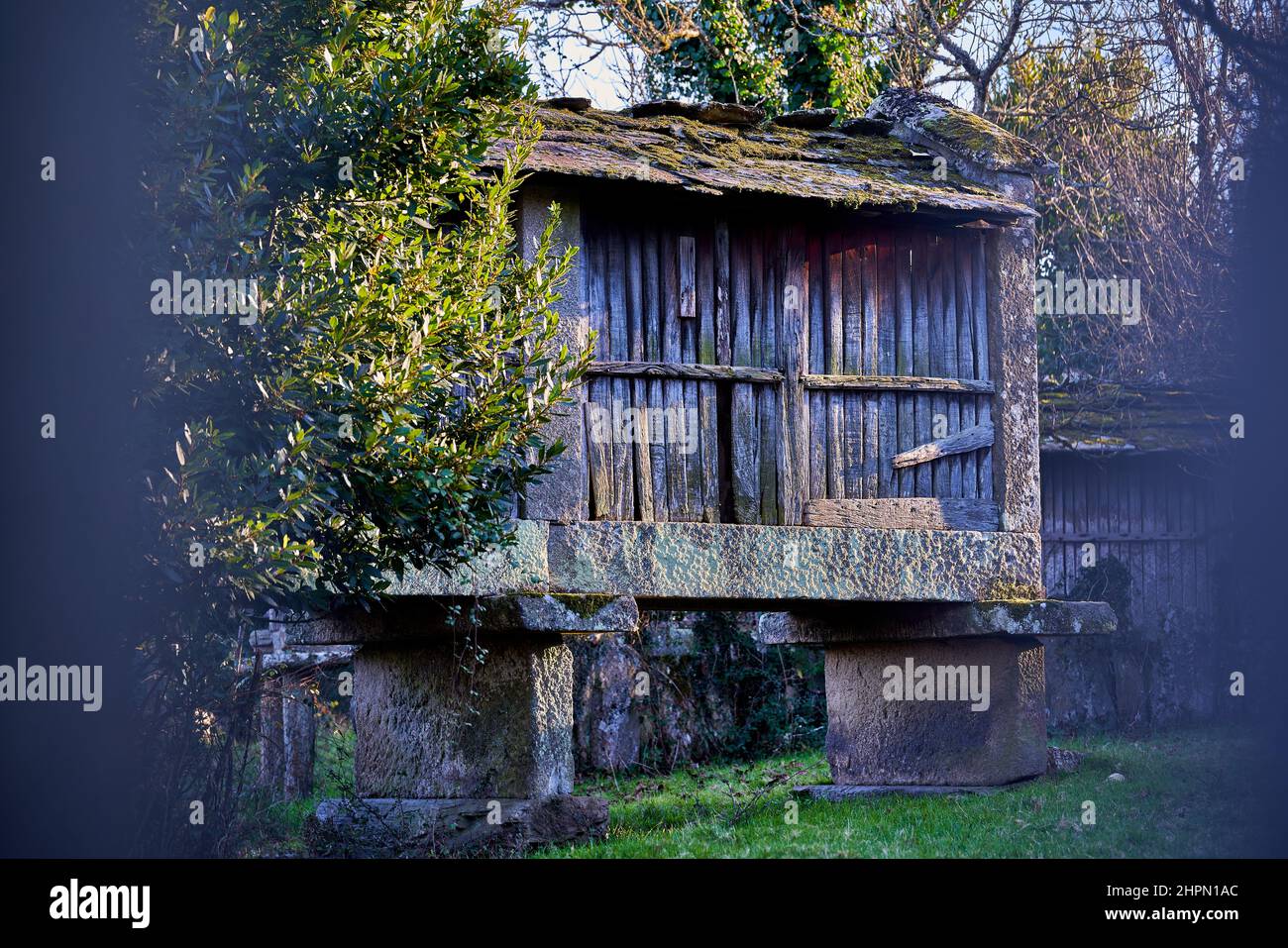 Old stone and wood barn called horreo, used in the Galician region of Irixo to store cereals, apples or chestnuts Stock Photo