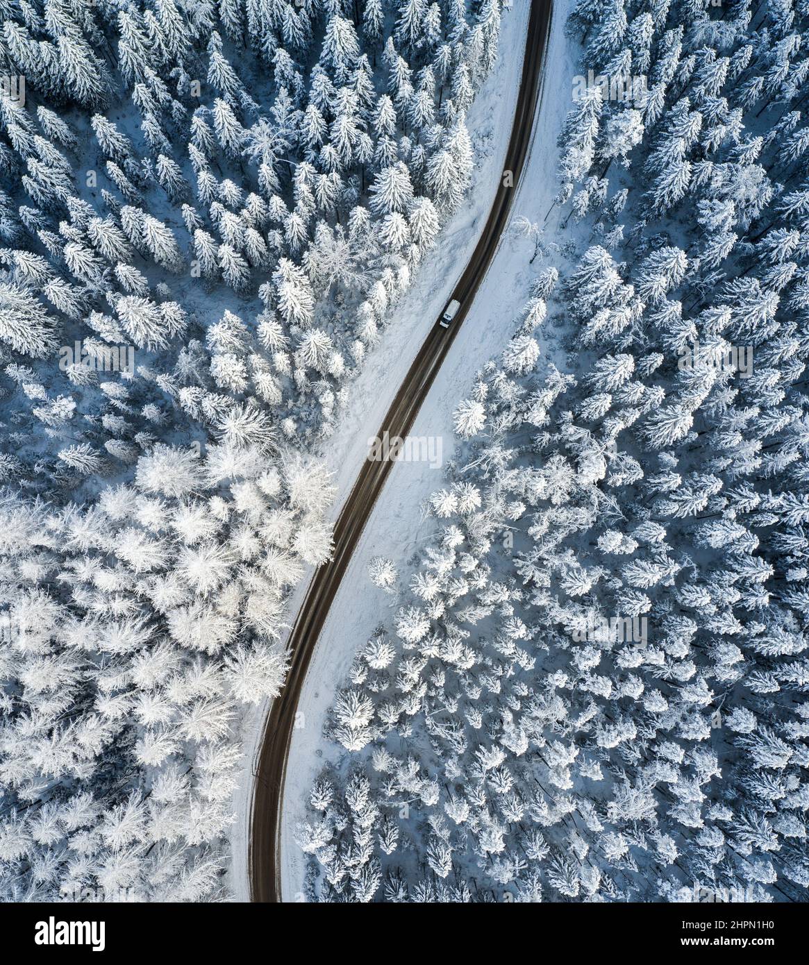 Beautiful winter forest and road. Aerial view Stock Photo