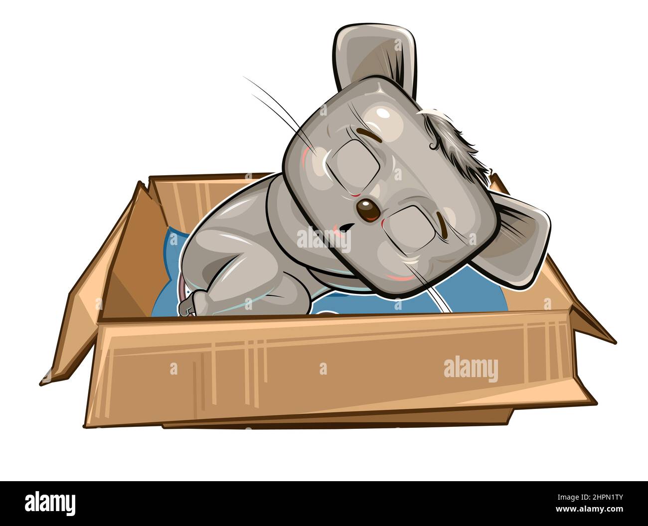 The Mouse sleeps in a cardboard box. A pet as a gift or a homeless