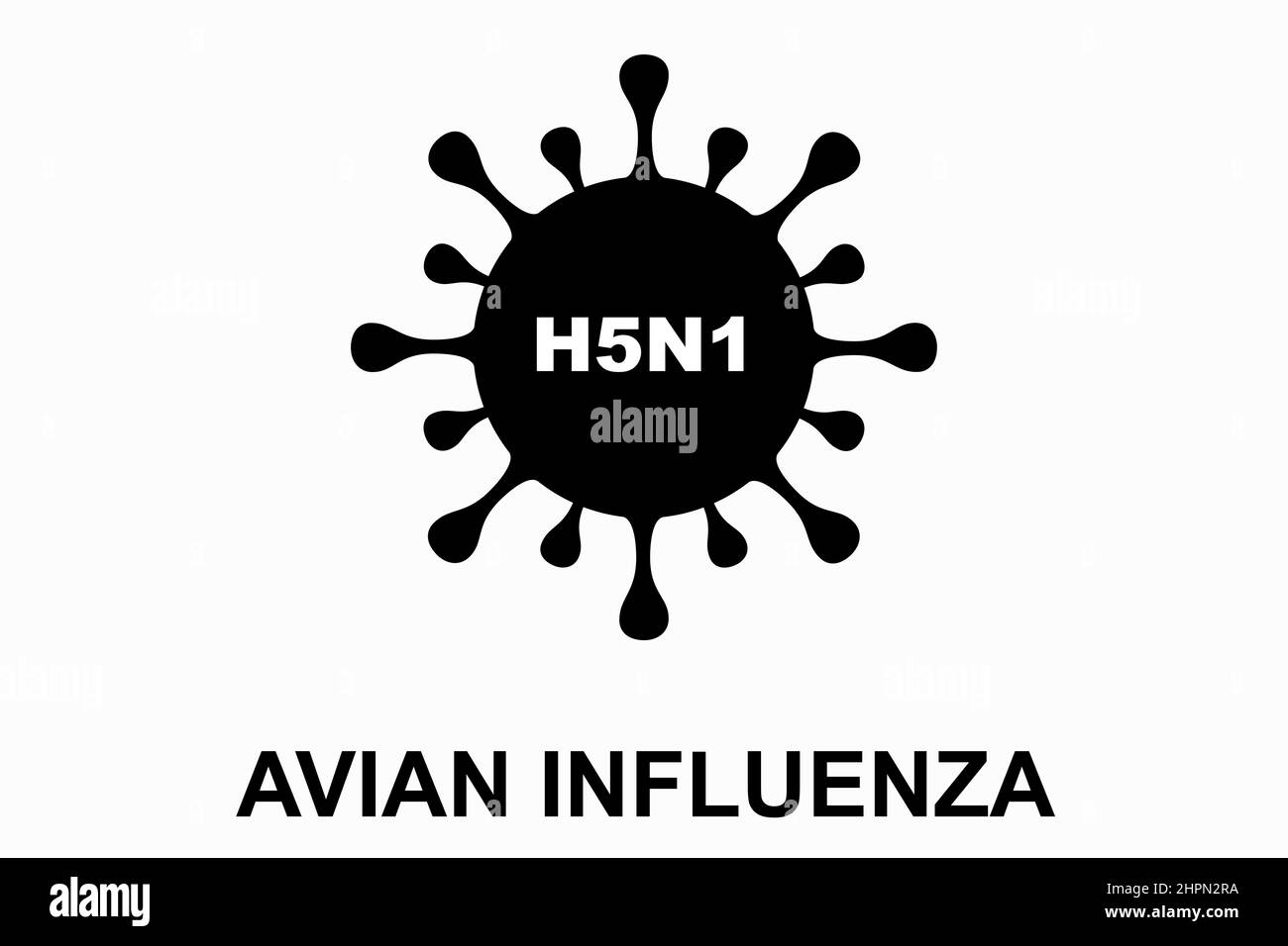 Avian influenza (H5N1). Bird flu virus illustration. H5N1 bird flu epidemic disease. Chinese pandemic danger. Viruses from animals to people Stock Photo