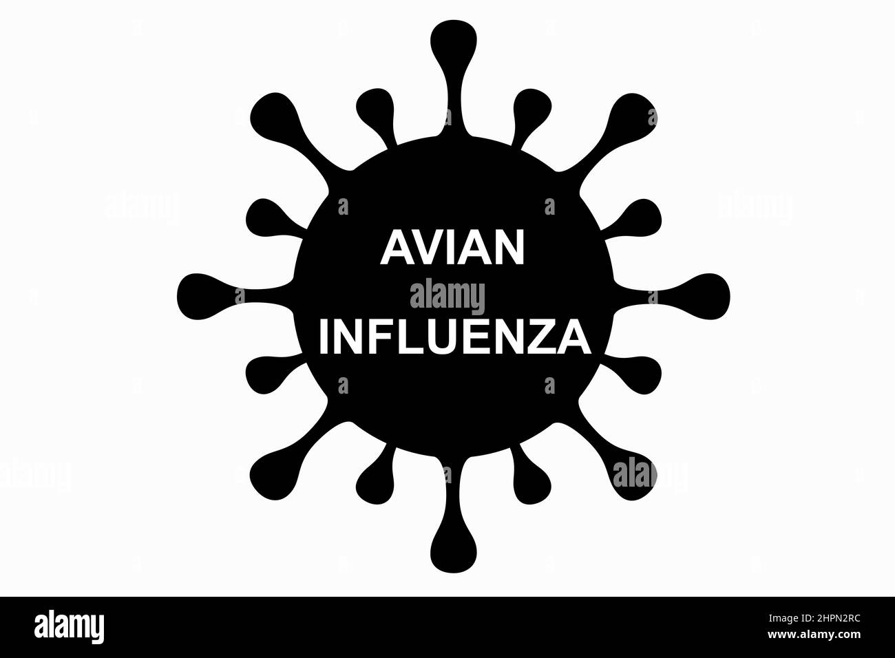 Avian influenza (H5N1). Bird flu virus illustration. H5N1 bird flu epidemic disease. Chinese pandemic danger. Viruses from animals to people Stock Photo