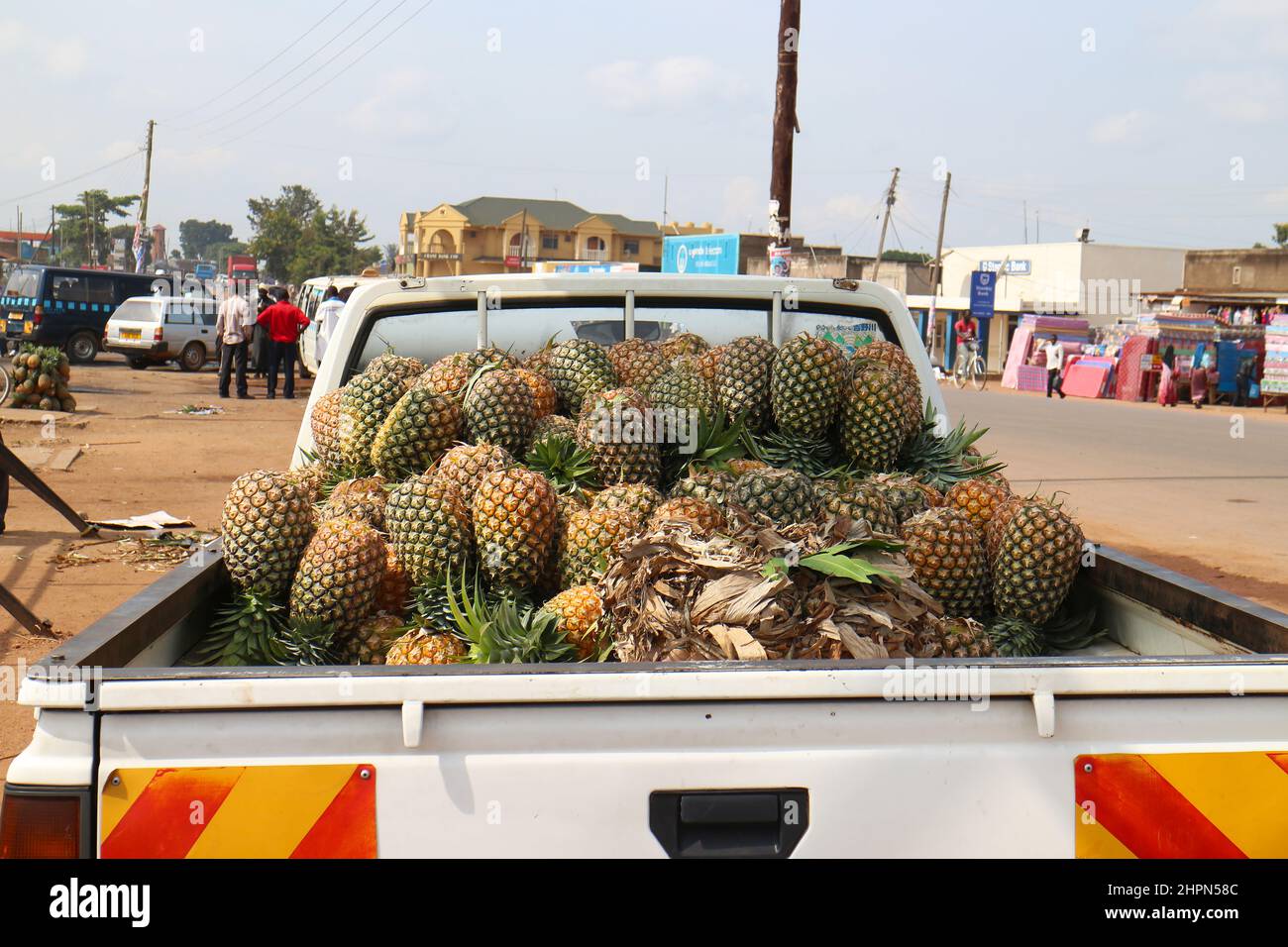 Truck full of fresh ripe pineapples at the fruit market in Uganda