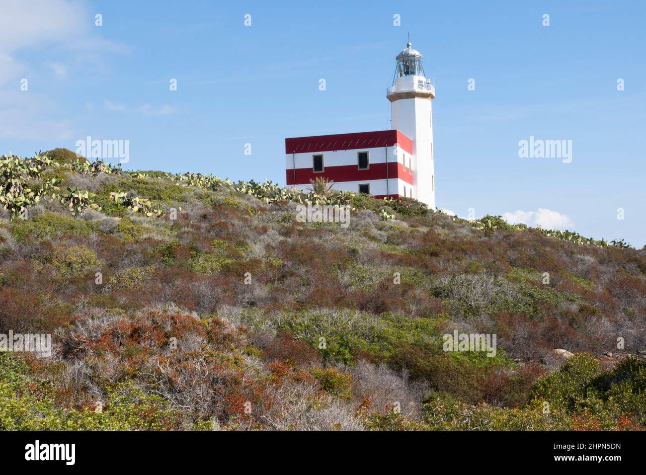 Capel Rosso lighthouse, Punta di Capel Rosso, Giglio Island, Tyrrhenian Sea, Tuscan archipelago, Tuscany, Italy, Europe Stock Photo