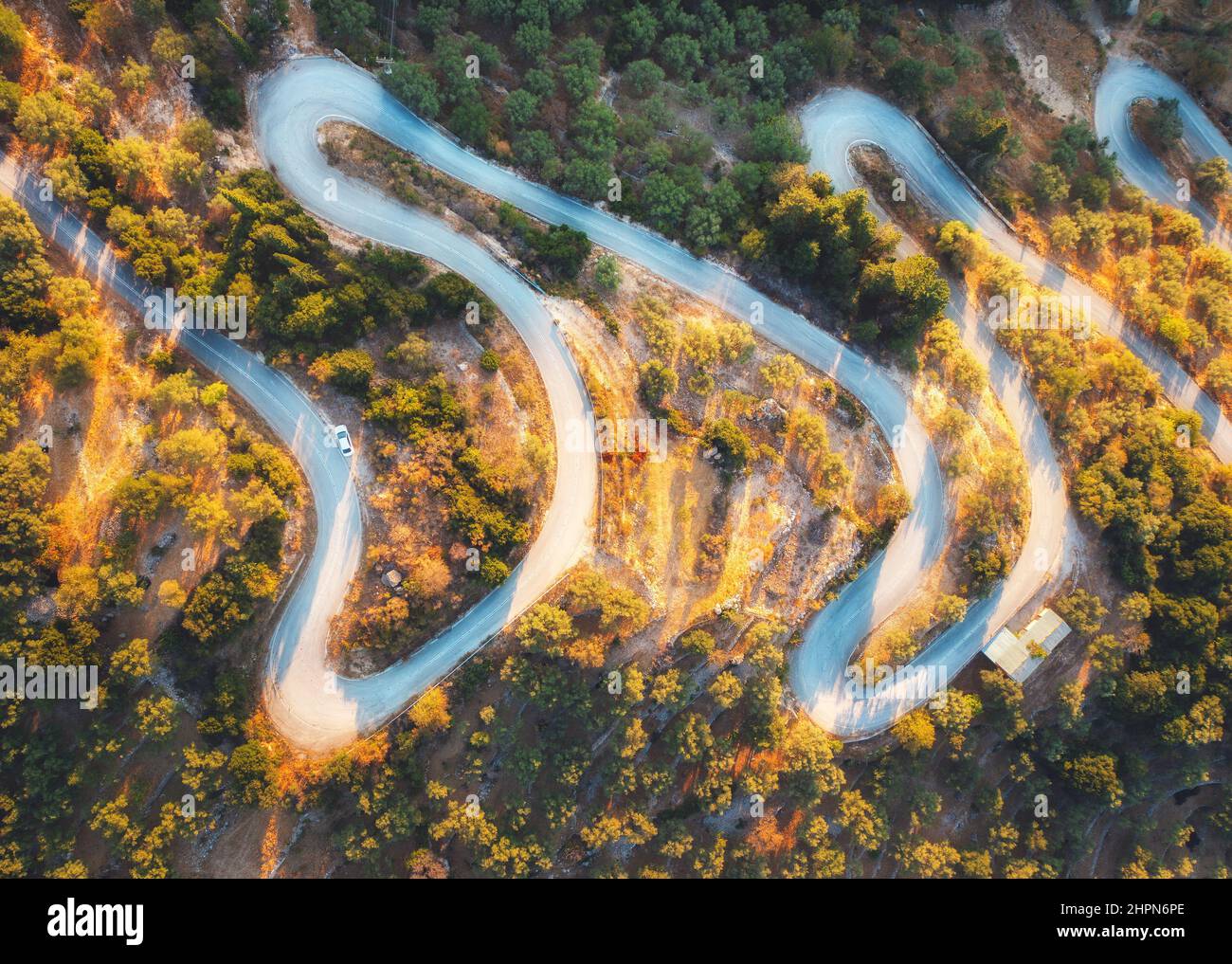 Aerial view of winding road in beautiful green forest at sunrise Stock Photo