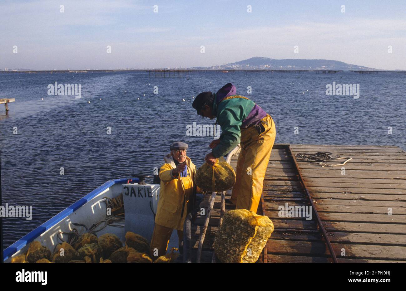 France Thau pond Bouzigues oysters production Stock Photo