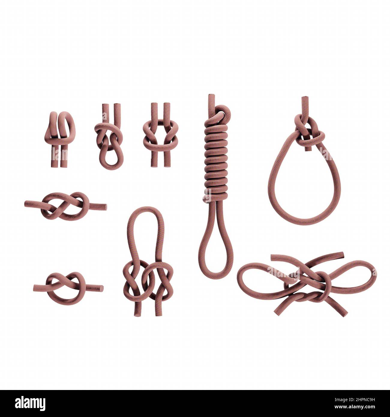 3D rendering of nine basic types of rope knots on white background Stock Photo