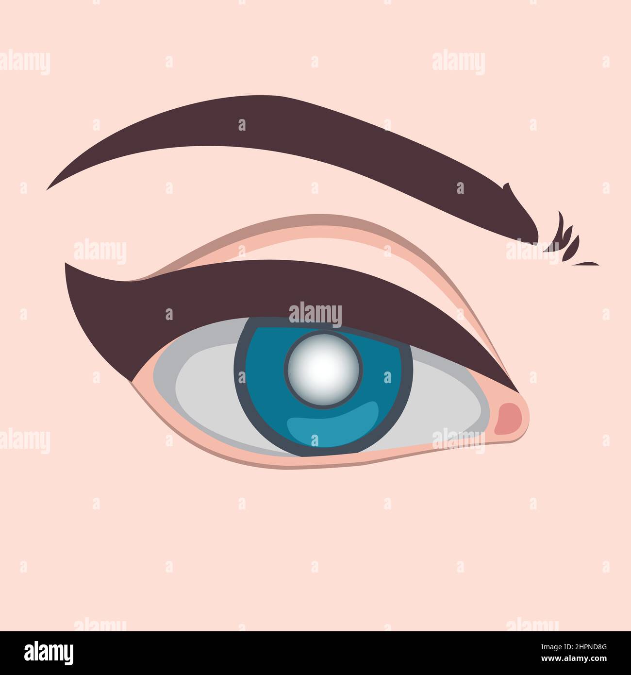 Eye disease vector illustration, Glaucoma cataract and healthy eye disease and nephropathy problems Stock Vector