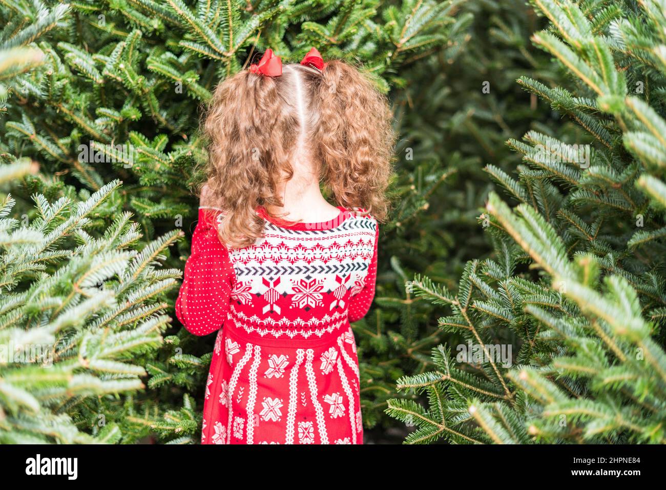 Little girl in red dress at the Christmas tree farm Stock Photo - Alamy