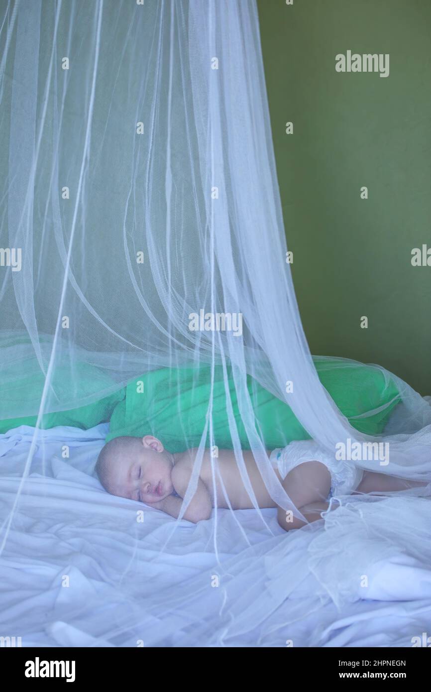 Baby girl sleeping under mosquito net inside a bungalow Stock Photo Alamy