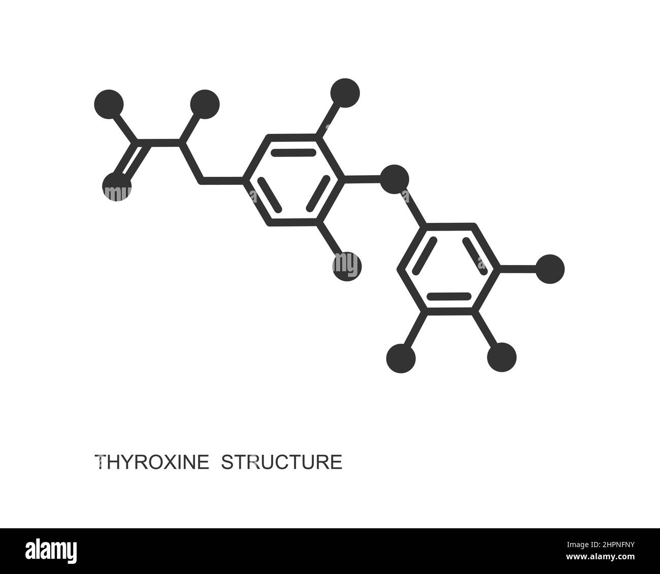 Thyroxine chemical molecular structure. Major endogenous hormone secreted by the thyroid gland isolated on white background. Vector graphic illustration. Stock Vector
