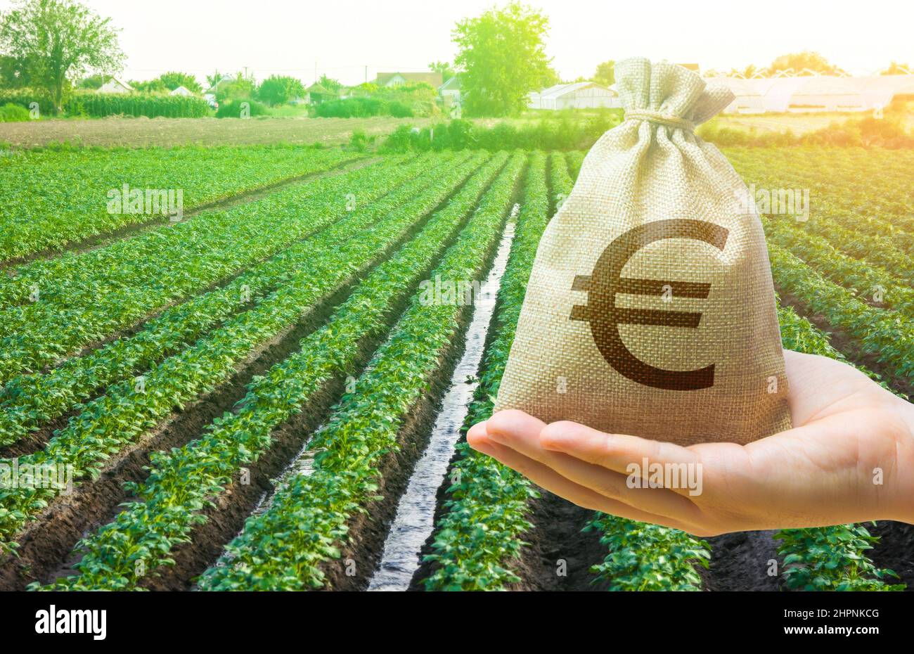 Euro money bag and a potato field. Lending a loan and subsidizing farmers. Surface irrigation of crops. European farming. Agriculture. Grants, financi Stock Photo