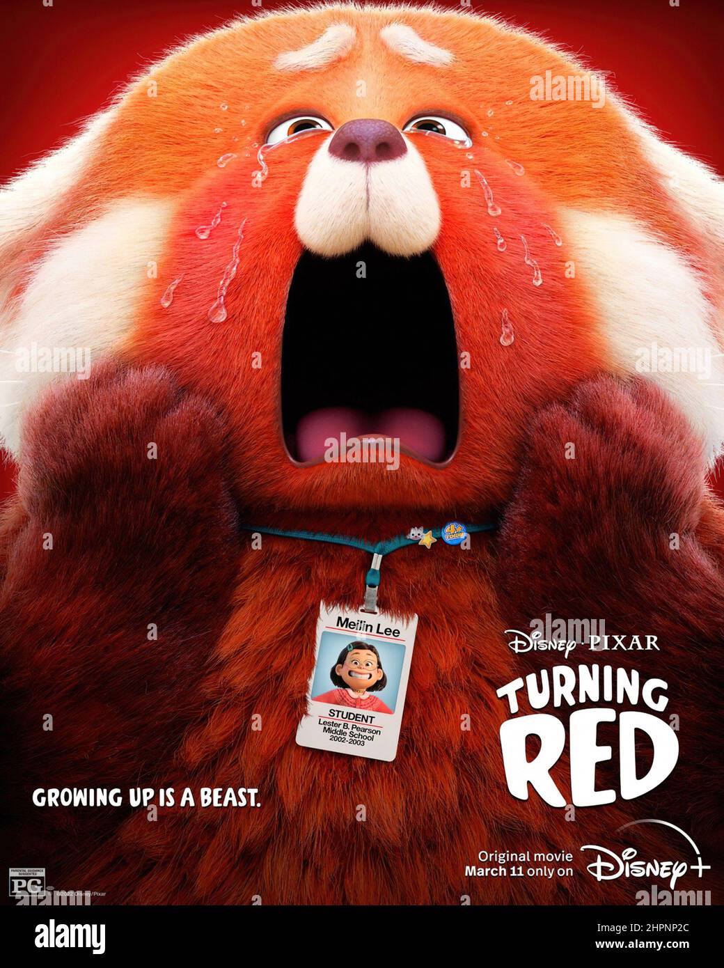 TURNING RED, US character poster, Mei Lee (voice: Rosalie Chiang), 2022. ©  Walt Disney Studio Motion Pictures / Courtesy Everett Collection Stock  Photo - Alamy