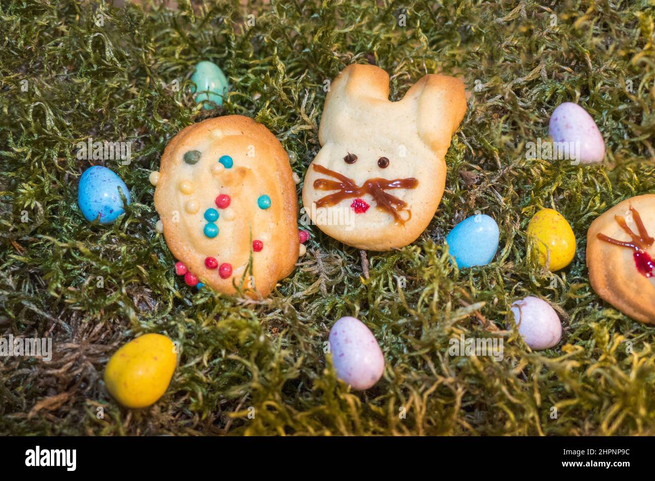 Hasen und Eier Kekse auf einem Herz aus Moos zu Ostern Stock Photo