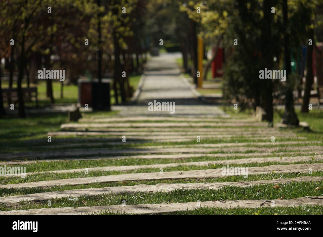 At spring Tulips and flowers Emirgan park Istanbul Stock Photo