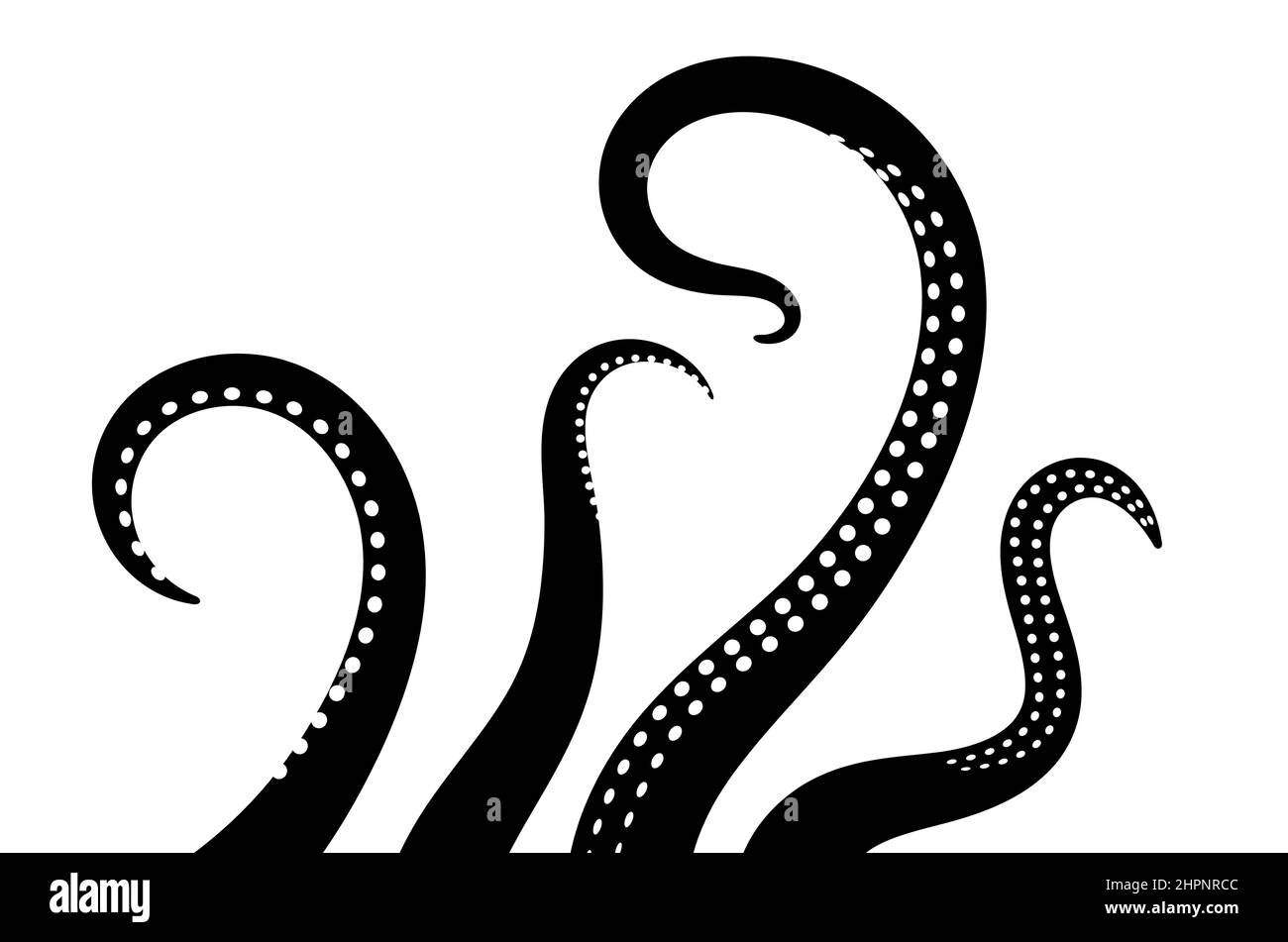 Octopus tentacle vector giant illustration monster sea creature ...
