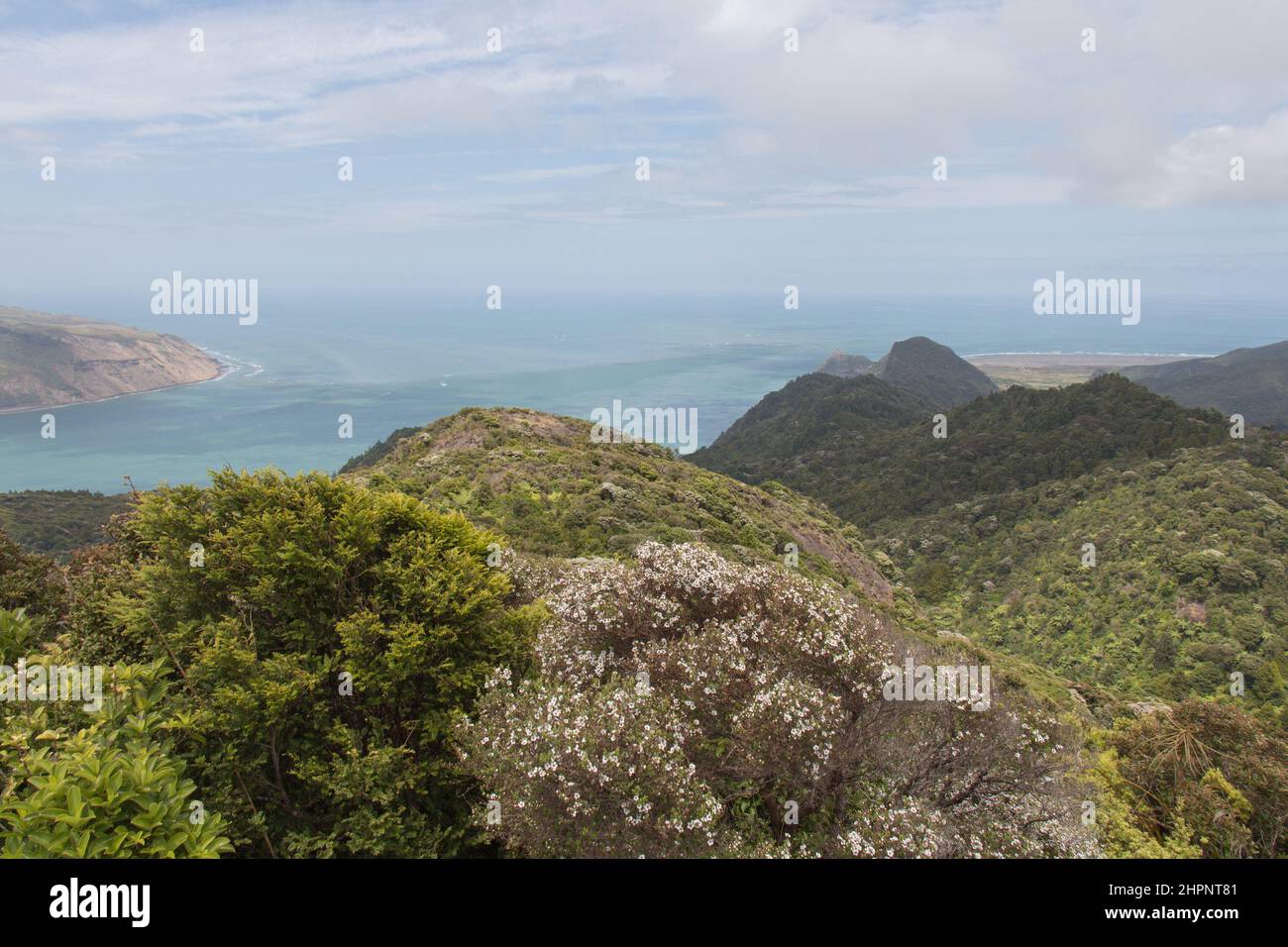 The view of picturesque landscape from mount Donald McLean lookout, Waitakere Ranges Regional Park, New Zealand. Stock Photo