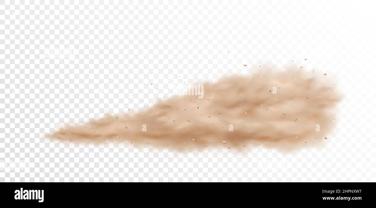 Road dust cloud desert. Sand smoke car vector ground dirt cloud wheel