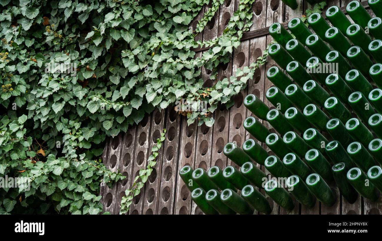 Bottles of wine are stored in wooden shelves with holes Stock Photo Alamy