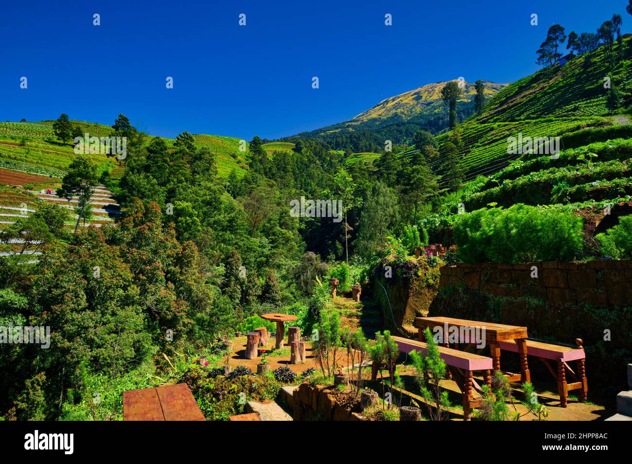 Java coffee van hi-res stock photography and images - Alamy