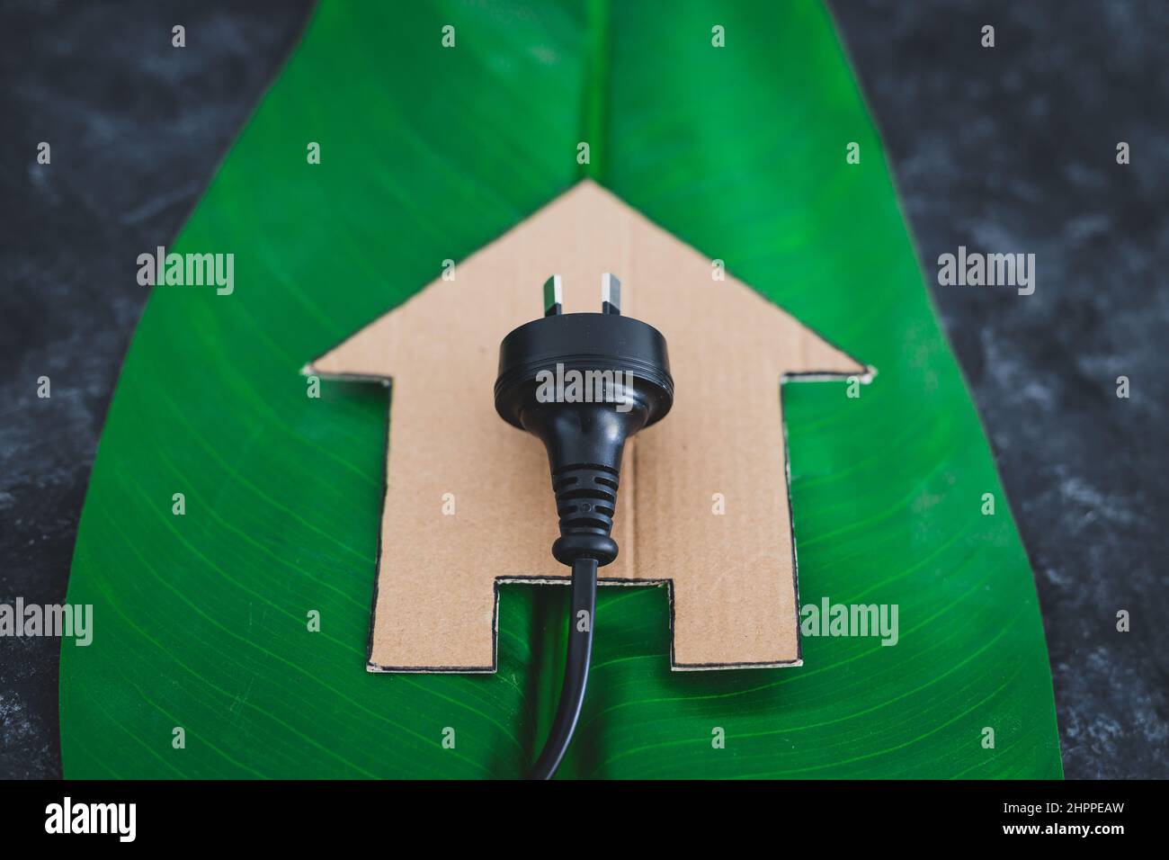 house icon on green leaf with Australian plug on it, concept of ...