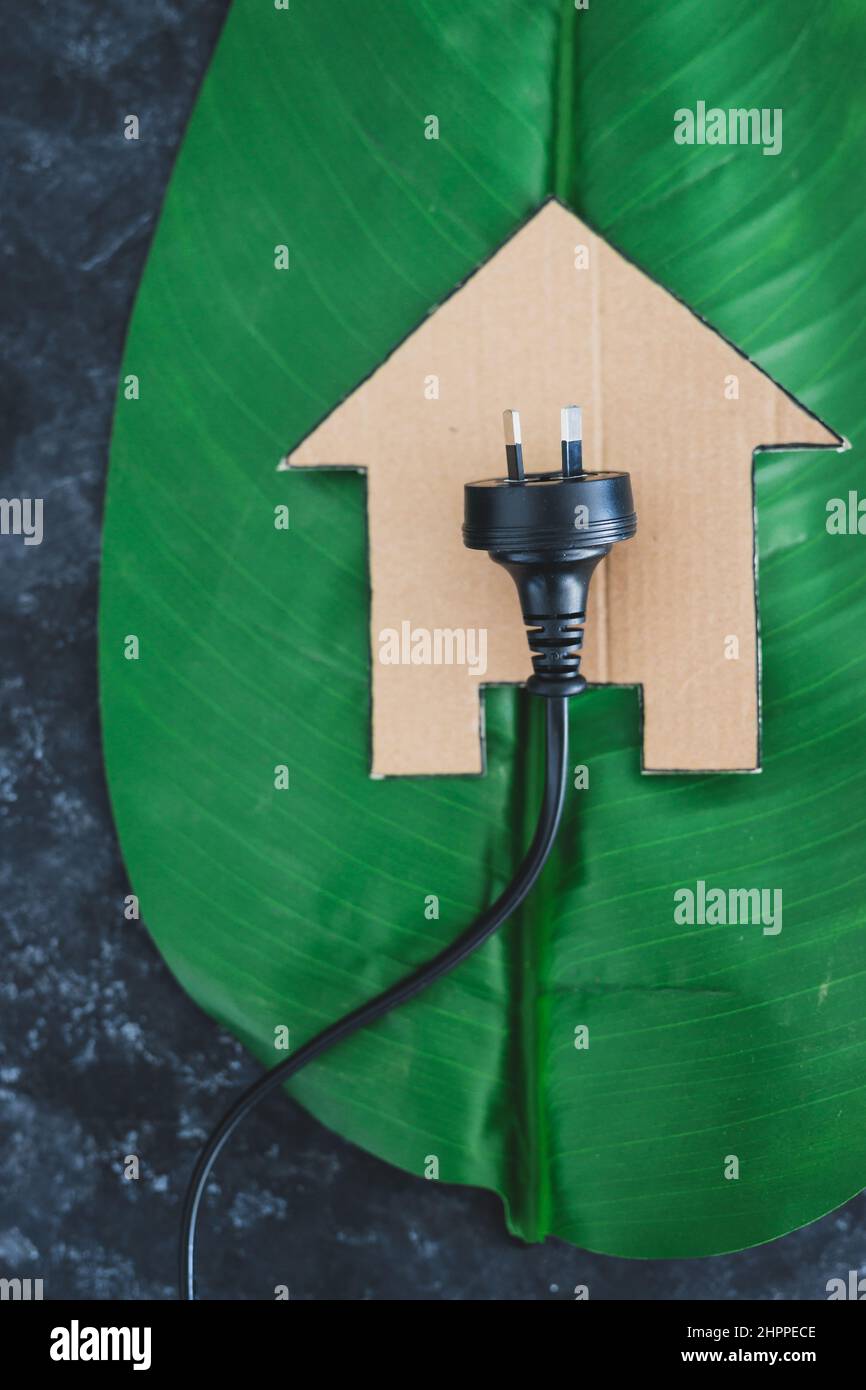 house icon on green leaf with Australian plug on it, concept of ...