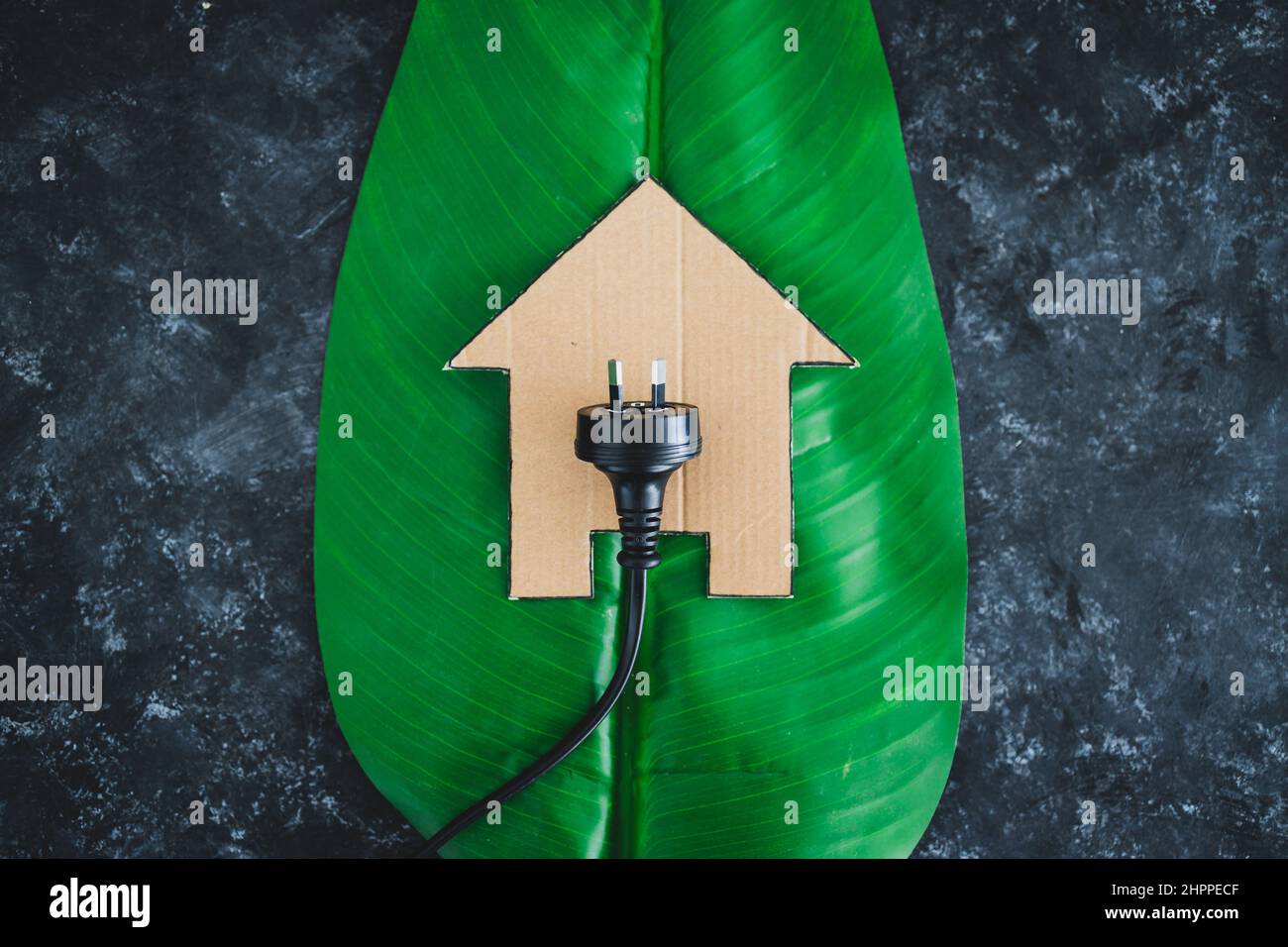 house icon on green leaf with Australian plug on it, concept of ...