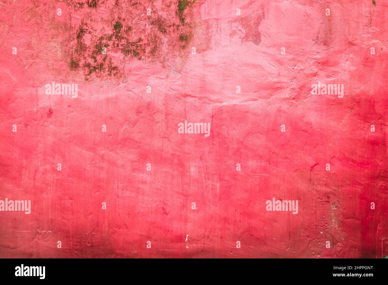 Pink colored grunge cement wall texture background. Stock Photo