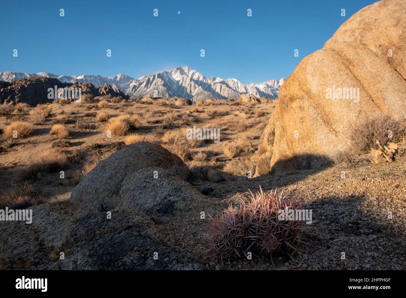 Mt. Whitney, the tallest mountain peak in the lower 48 states, stands
