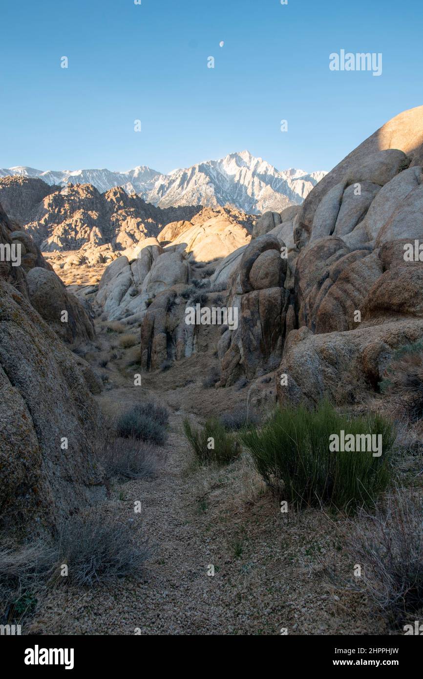 Mt. Whitney, the tallest mountain peak in the lower 48 states, stands