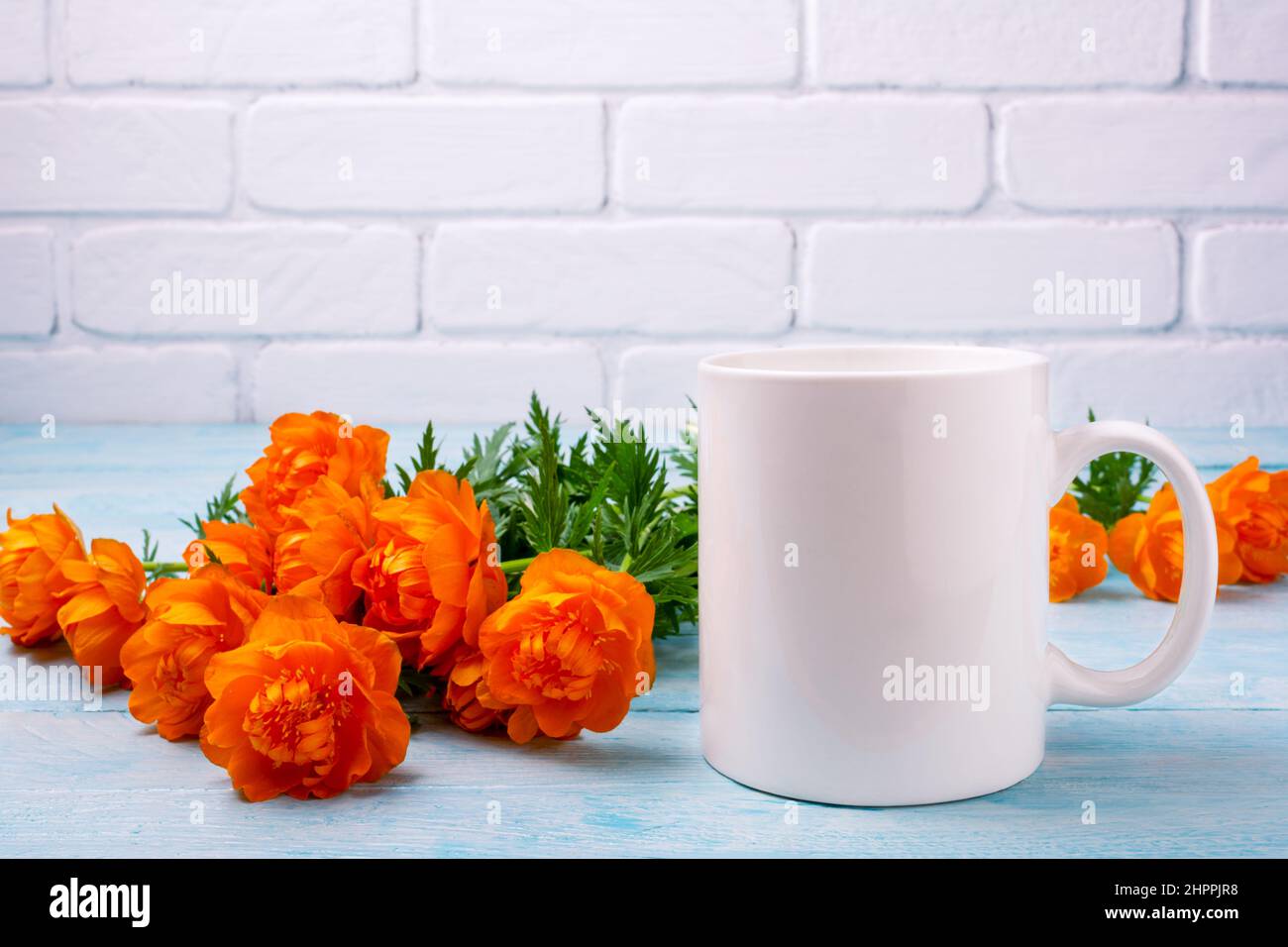 White coffee mug mockup with globeflowers on the blue table. Empty mug mock up for design promotion, styled template Stock Photo