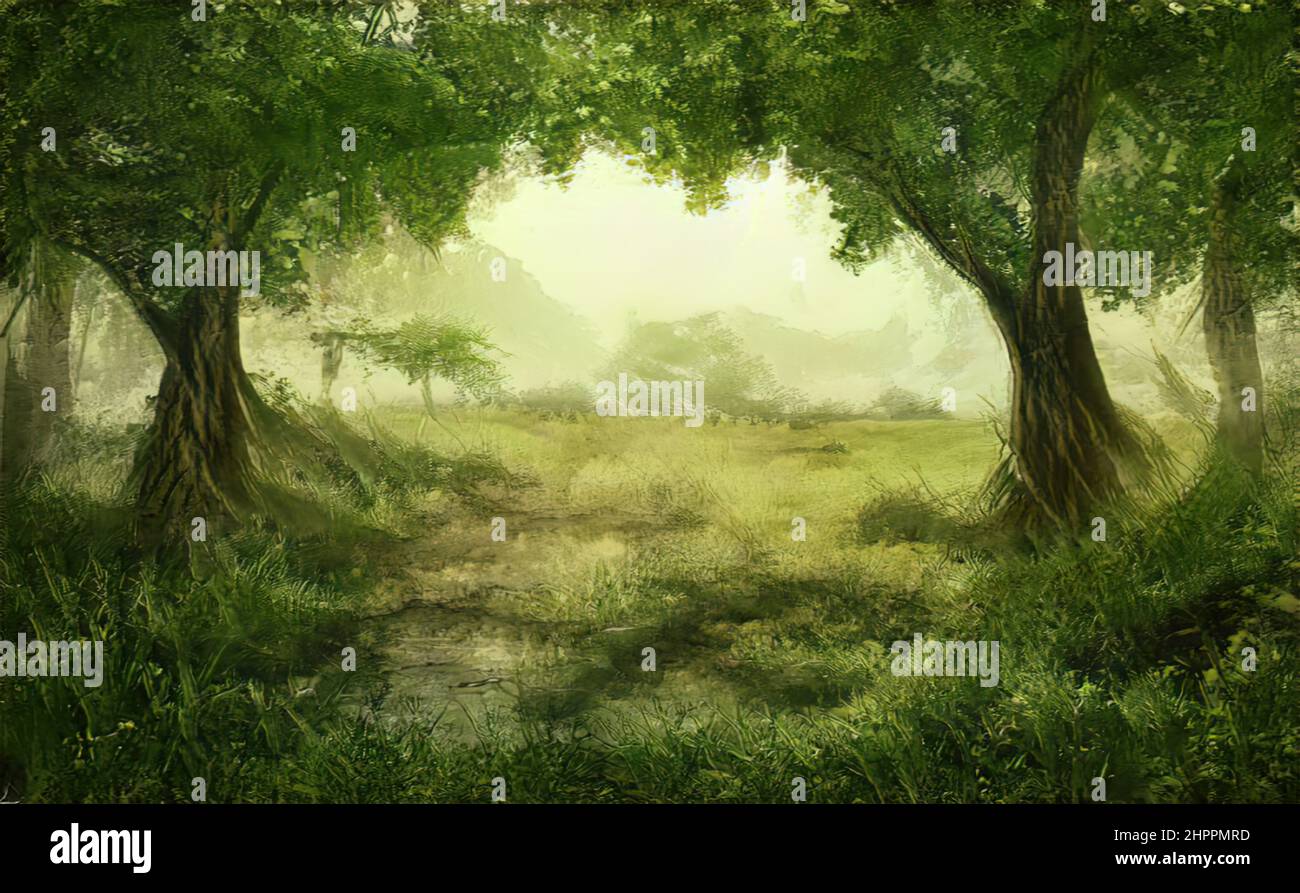 Beautiful magical forest fabulous trees. Forest landscape, sun rays