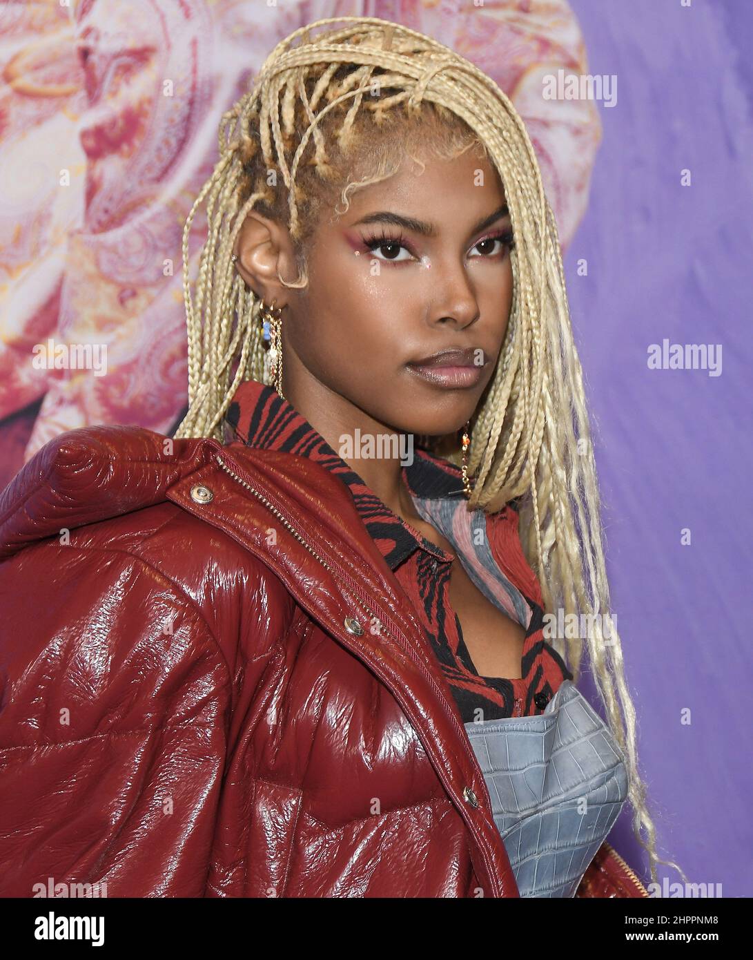 Tyler Perry Diamond Los Angeles, CA, February 22, 2022. Diamond White arrives at the World ...
