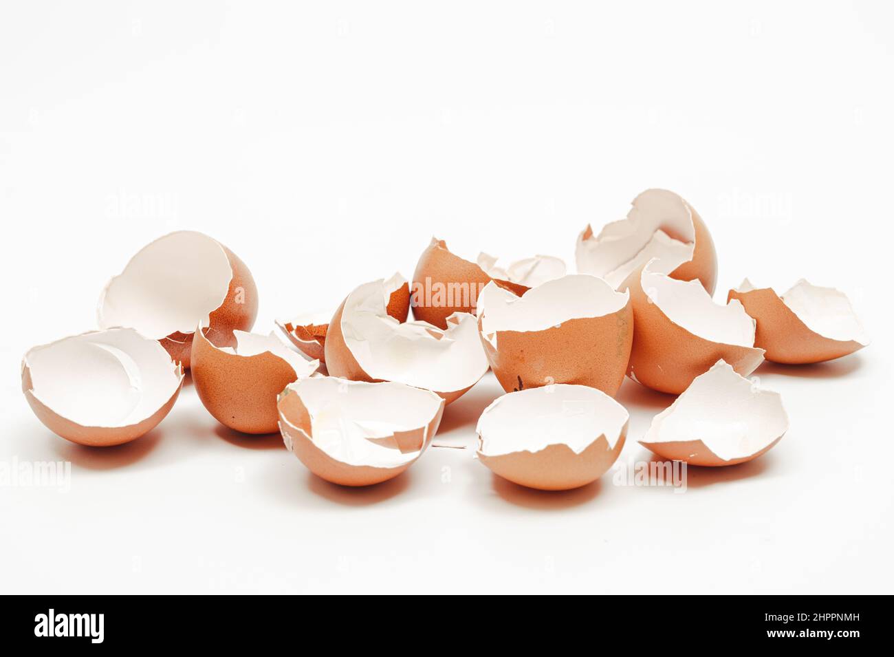 Broken eggshell collection on white background. Stock Photo