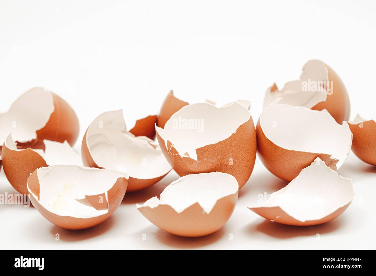 Broken eggshell collection on white background. Stock Photo