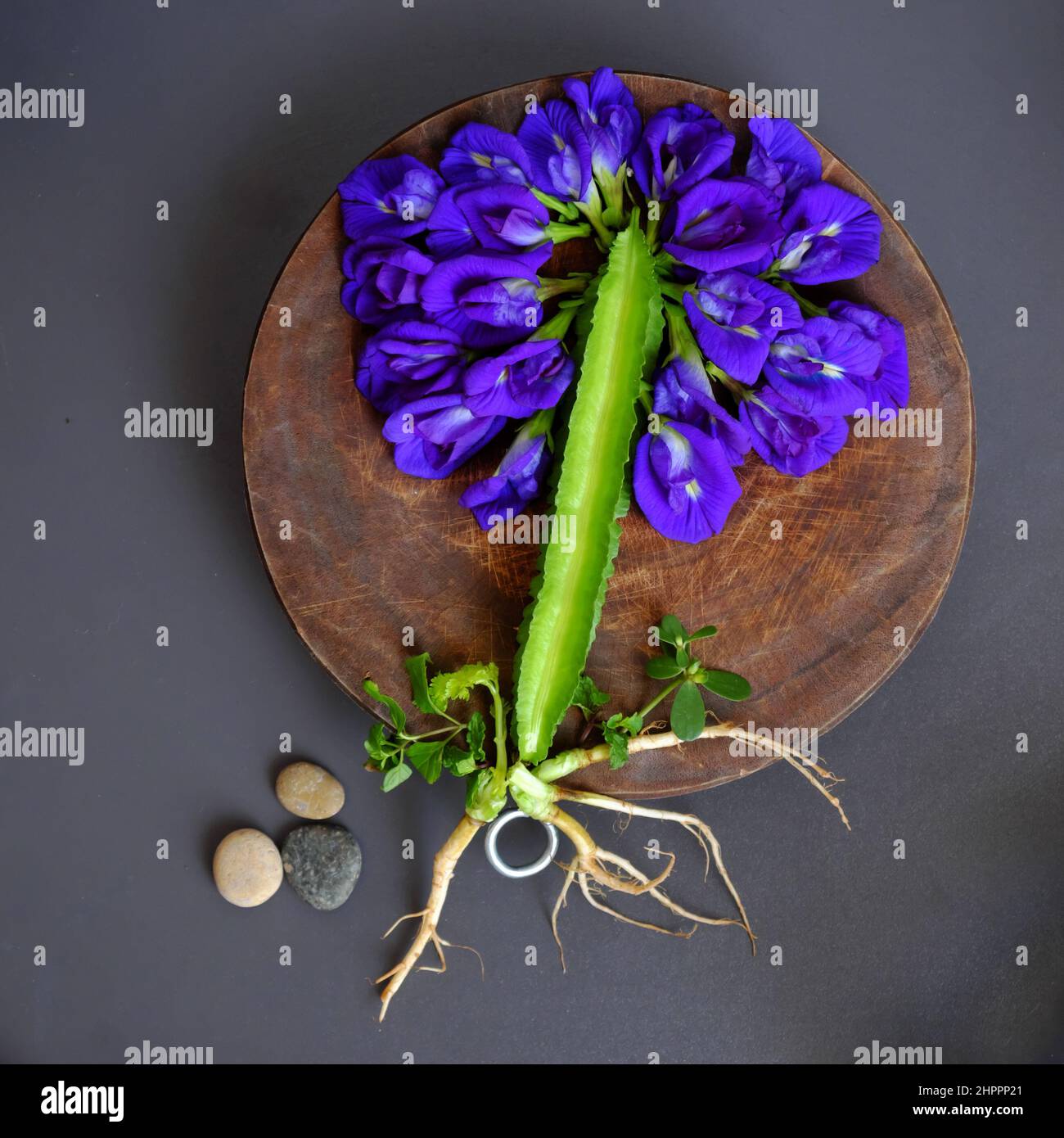 Tree shape from butterfly pea flower and dragon bean, this natural color can make herbal tea or food coloring, violet flower crop from terrace garden Stock Photo