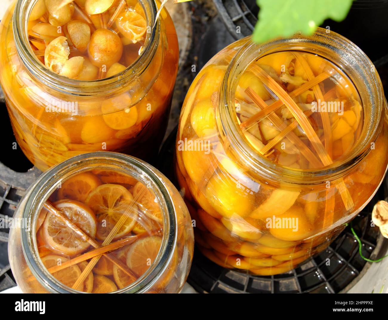 Big jar yellow salted kumquat and bask outdoor to make delicious beverage for hot summer day Stock Photo