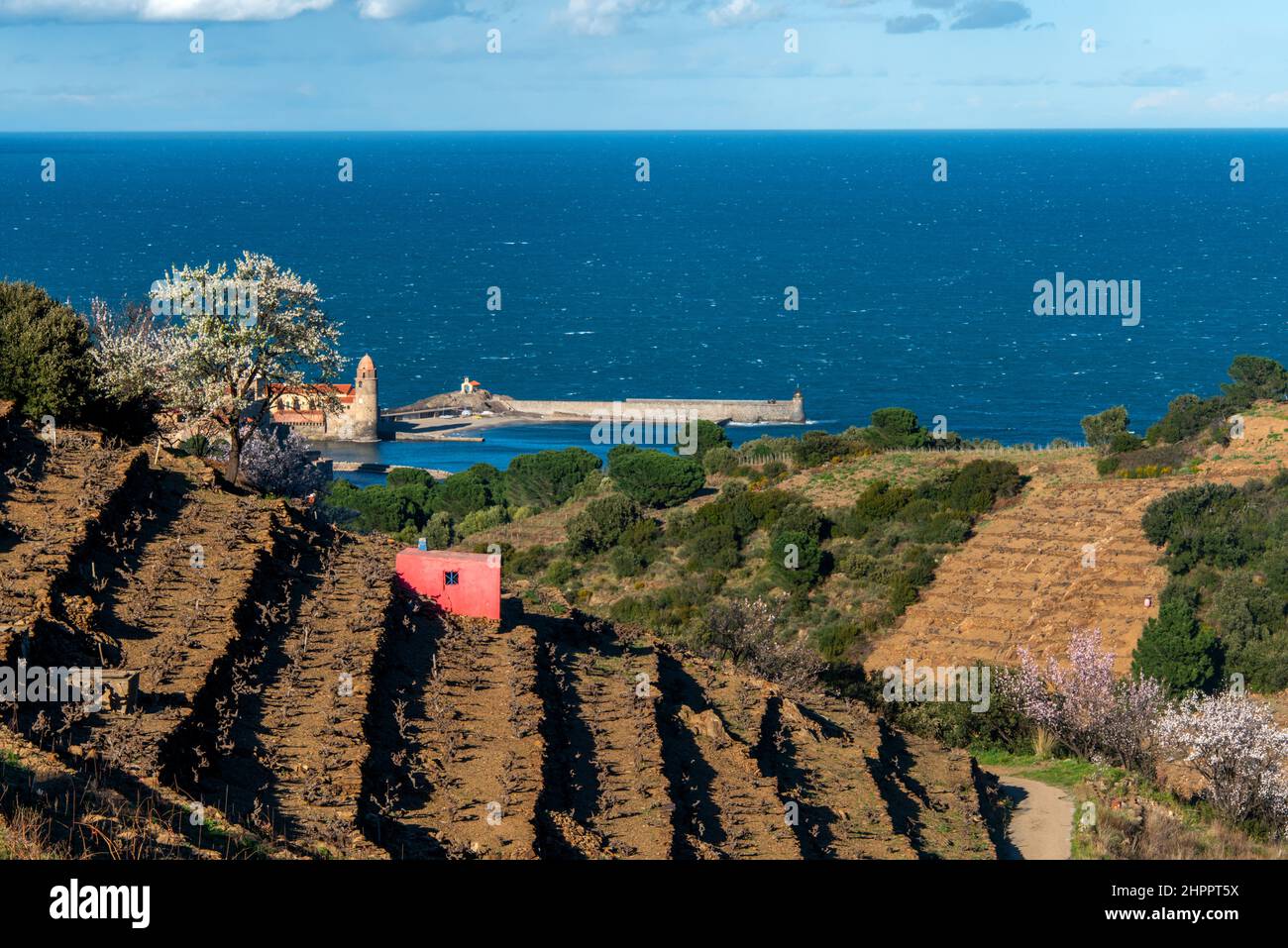 FRANCE Pyrenees Orientales Roussillon Côte vermeille collioure cru collioure banyuls Stock Photo