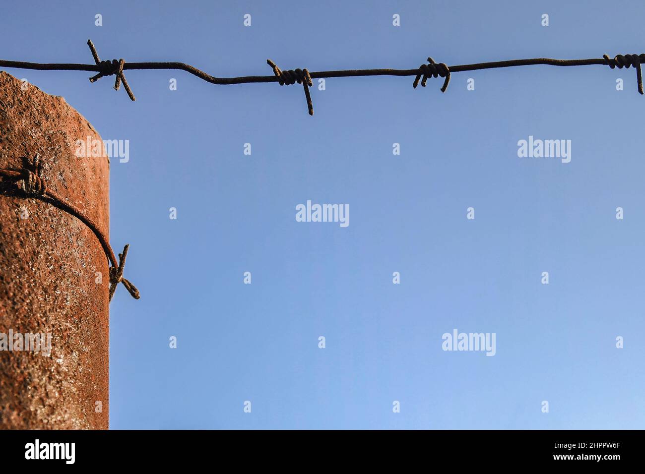 Rusty metal pole wrapped in barbed wire against blue sky. Close-up. Selective focus. Copy space. Stock Photo