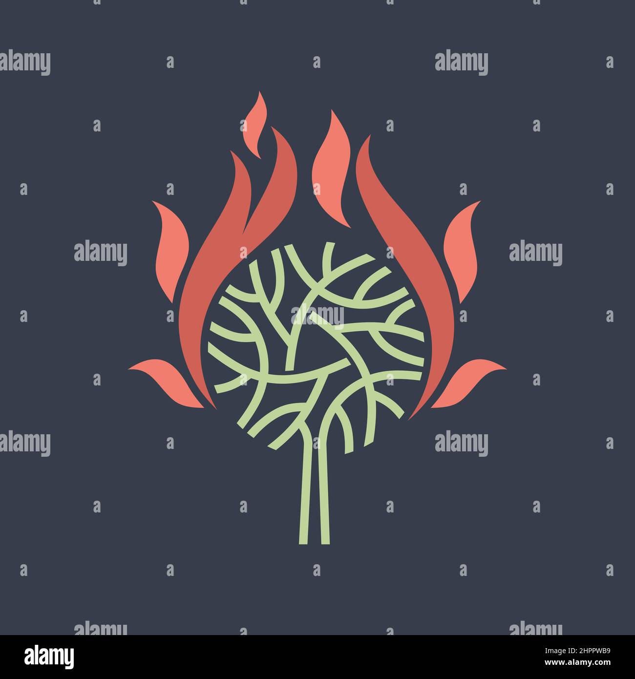 A wonderful plant. The burning bush that the prophet Moses saw. Bible illustration. Stock Vector