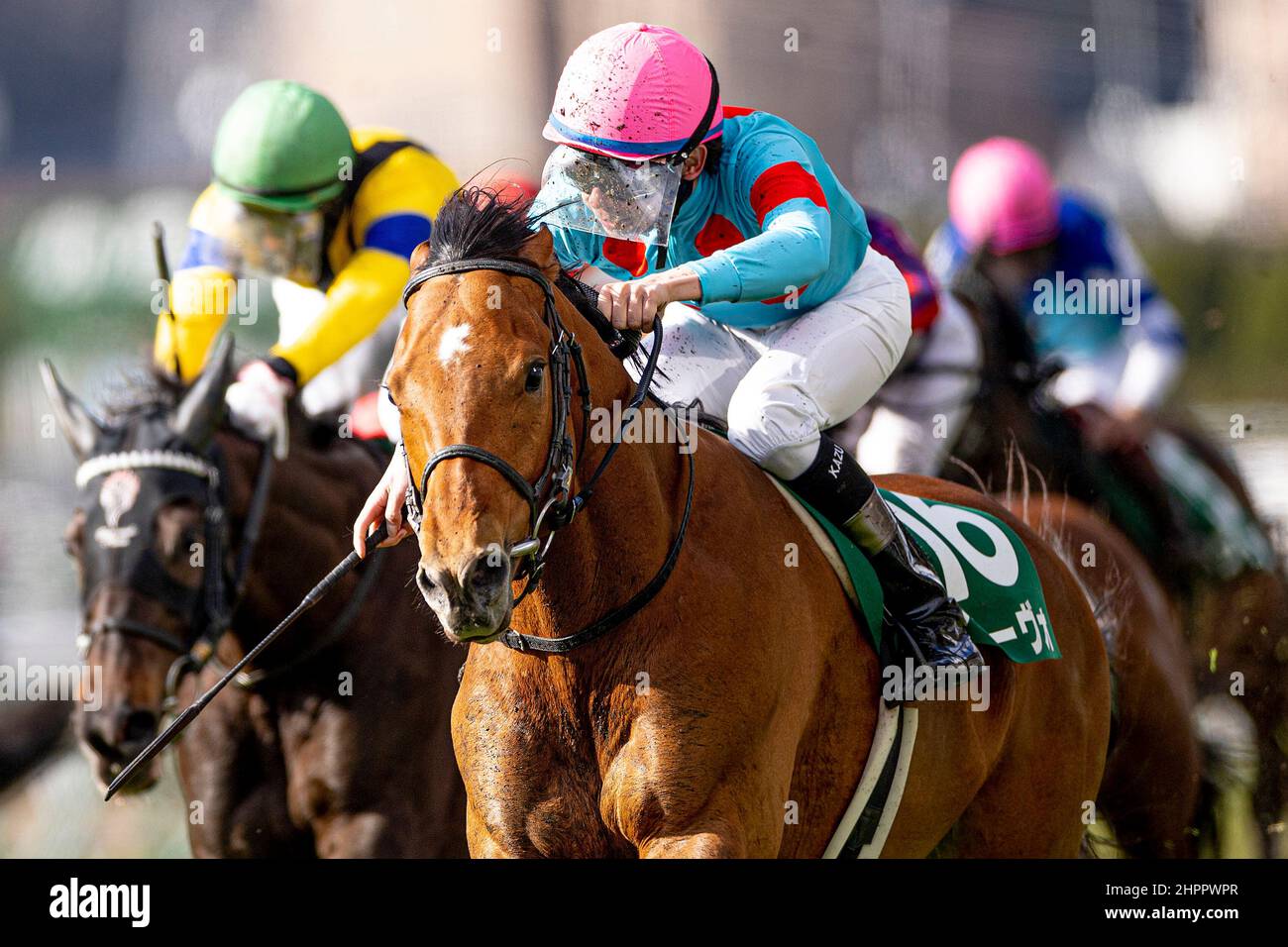 Kitakyushu, Fukuoka, USA. 20th Feb, 2022. February 20th, 2022: Arrivo #6, ridden by Kazuo Yokoyama, wins the Kokura Daishoten at Kokura Racecourse on February 20, 2022 in Kitakyushu, Fukuoka, Japan. Kaz Ishida/Eclipse Sportswire/CSM/Alamy Live News Stock Photo