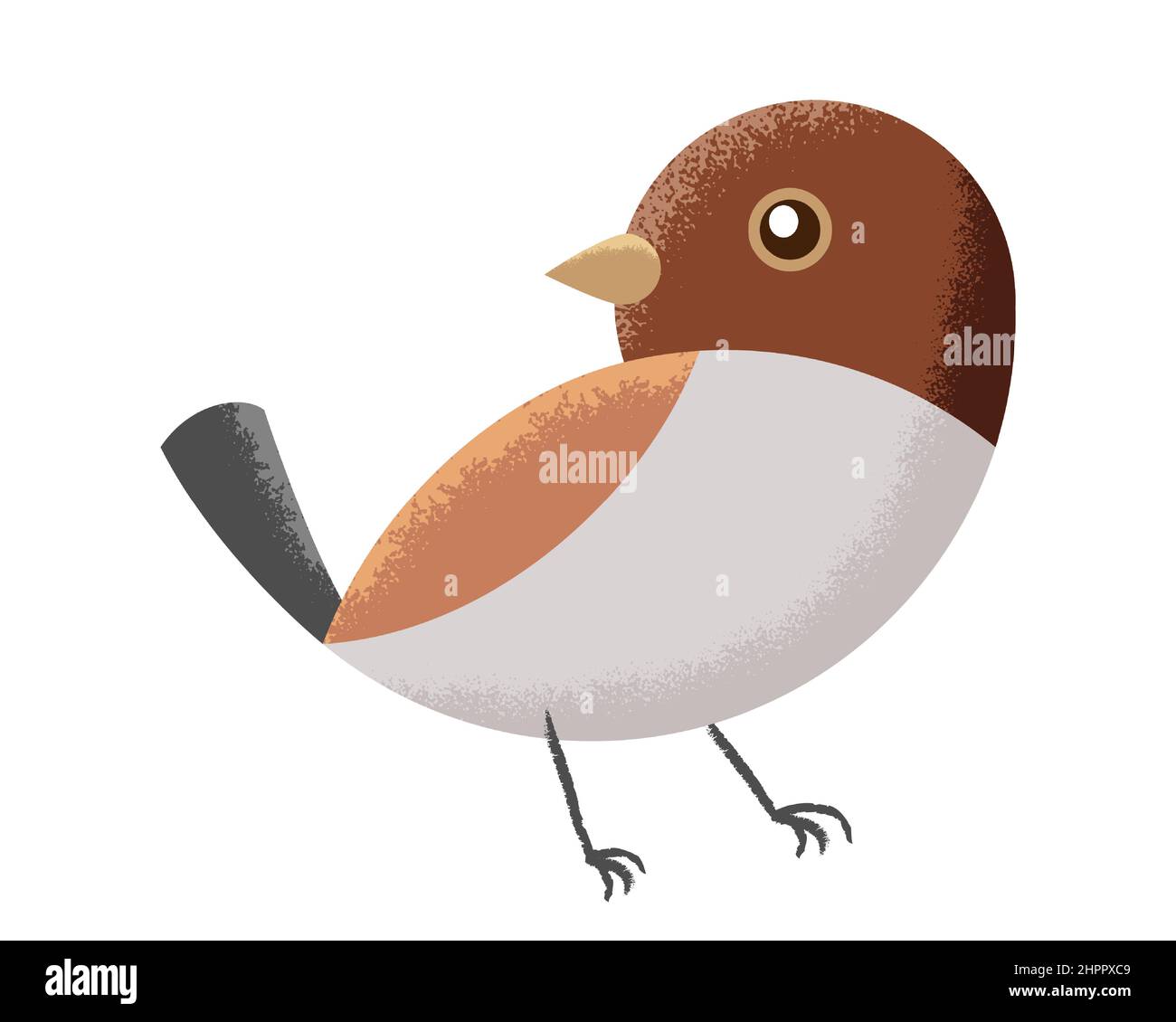 Cute cartoon sparrow isolated on white background Stock Vector Image & Art  - Alamy