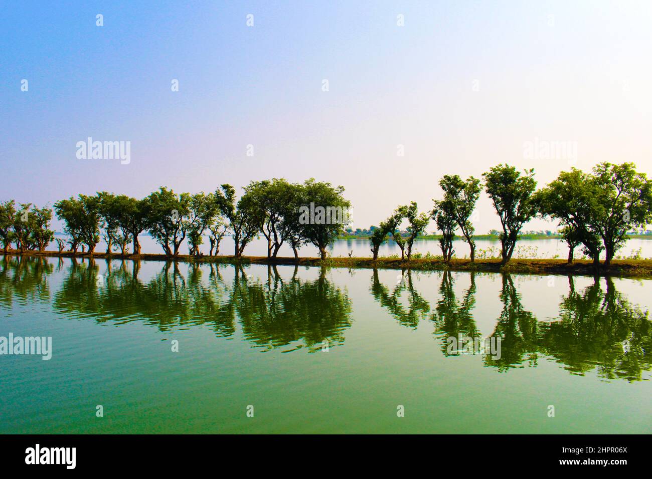 Beautiful trees reflecting on the water Stock Photo