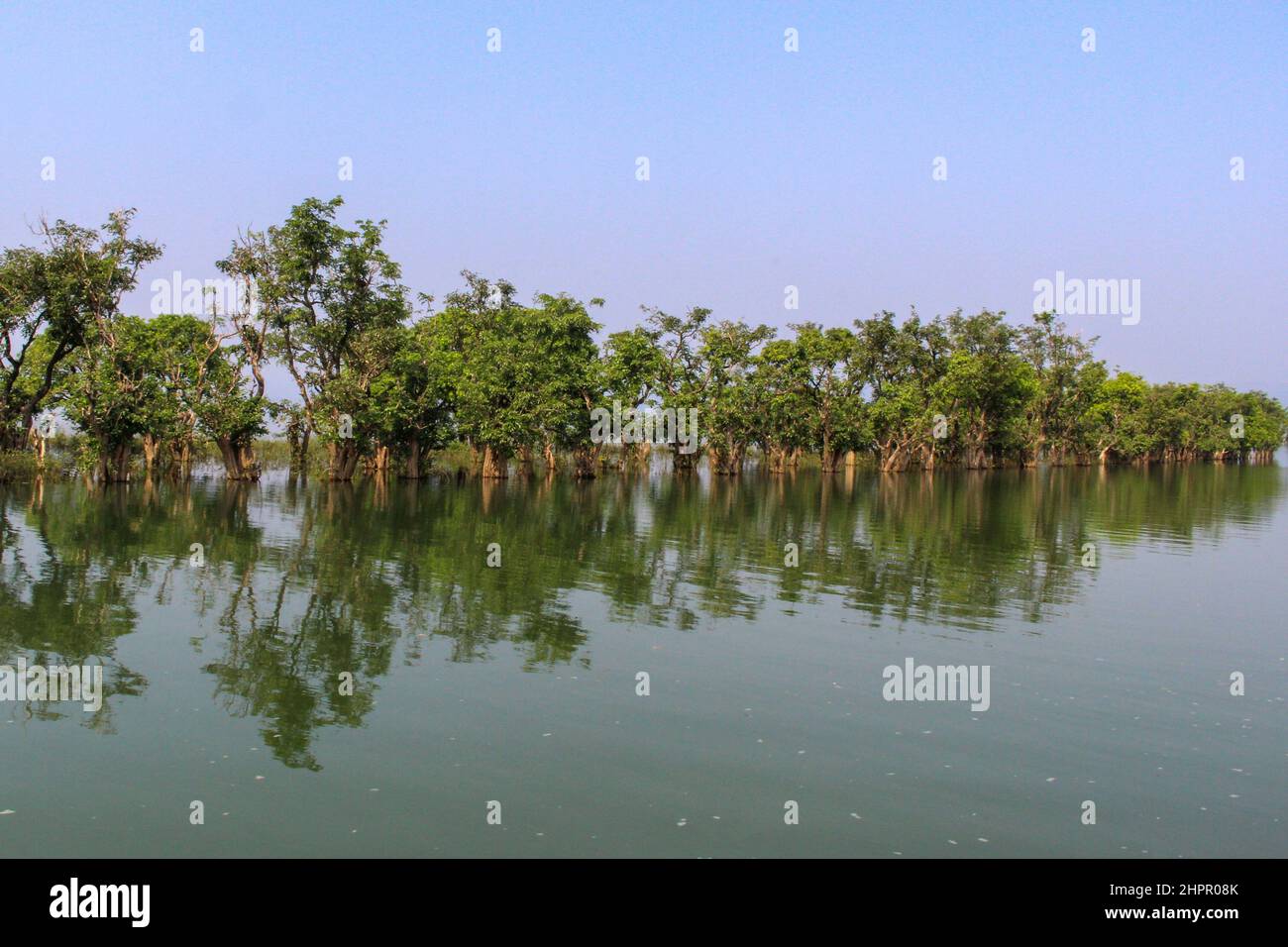 Beautiful trees reflecting on the water Stock Photo