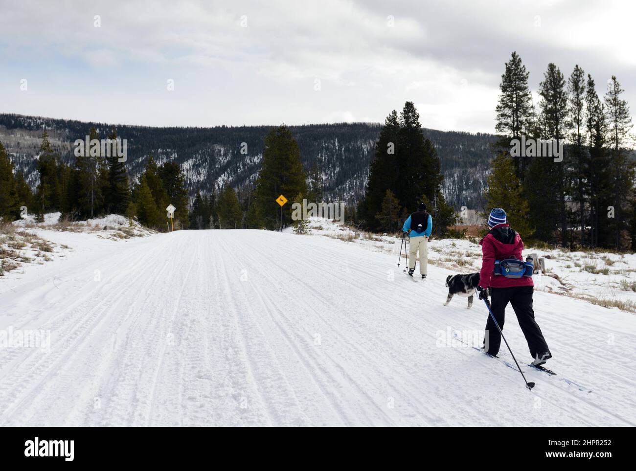 Cross country skiing on route 150 along the Provo river in the Mirror lake area in Kamas, Utah, USA. Stock Photo