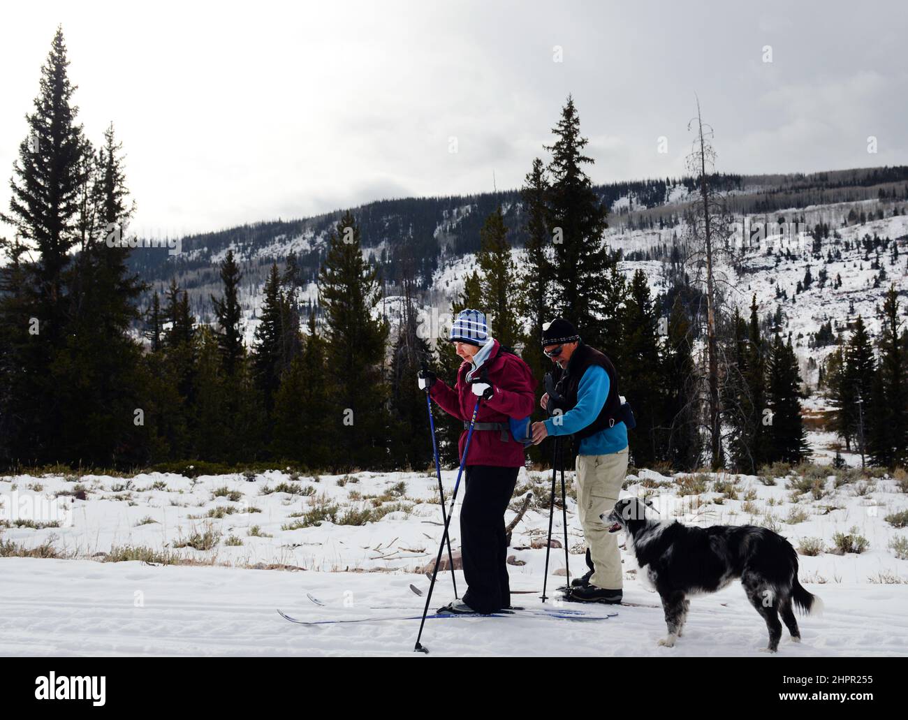 Cross country skiing on route 150 along the Provo river in the Mirror lake area in Kamas, Utah, USA. Stock Photo